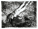 Artist: b'BOYD, Arthur' | Title: b'Diving nude and frog over a dark pond.' | Date: 1962-63 | Technique: b'etching and aquatint, printed in black ink, from one plate' | Copyright: b'Reproduced with permission of Bundanon Trust'