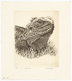 Artist: PLATT, Austin | Title: Water dragon | Date: c.1987 | Technique: etching, printed in black ink, from one plate