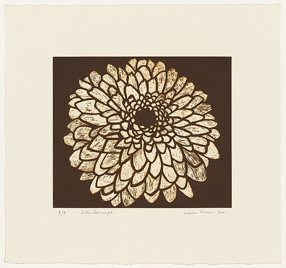 Artist: b'Forthun, Louise.' | Title: b'Edinborough' | Date: 2001 | Technique: b'etching and aquatint, printed in brown ink, from one copper plate'