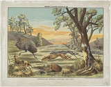 Artist: Scott Broad | Title: Australian sports - hunting the emu. | Date: 1886 | Technique: lithograph, printed in colour, from six stones