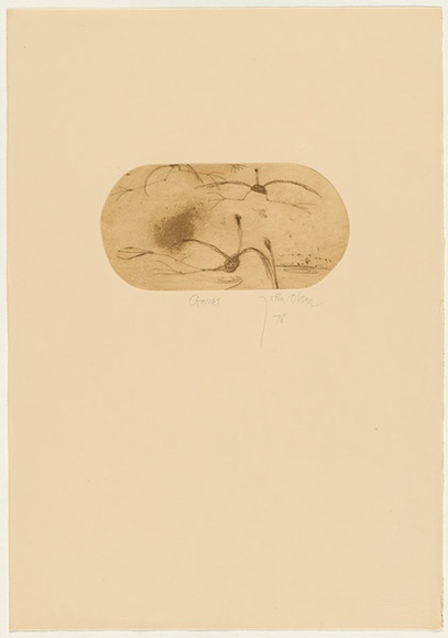 Artist: b'Olsen, John.' | Title: b'Cranes' | Date: 1978 | Technique: b'etching and aquatint, printed in brown ink, from one plate' | Copyright: b'\xc2\xa9 John Olsen. Licensed by VISCOPY, Australia'