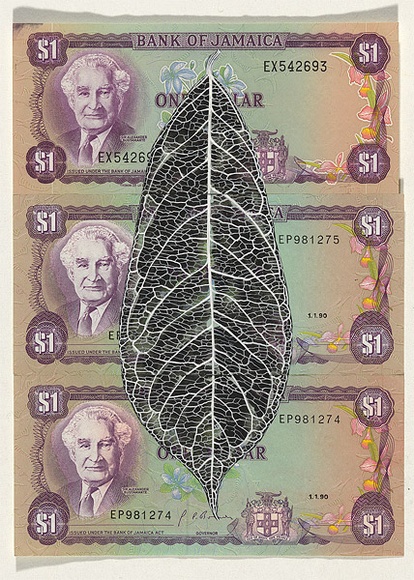 Artist: b'HALL, Fiona' | Title: b'Annona muricata - Soursop (Jamaican currency)' | Date: 2000 - 2002 | Technique: b'gouache' | Copyright: b'\xc2\xa9 Fiona Hall'