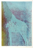 Artist: WICKS, Arthur | Title: Giraffe I | Date: 1973 | Technique: screenprint