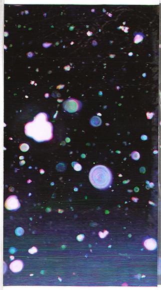 Title: b'Falling snow III [panel d]' | Date: 2007 | Technique: b'digital print, printed in colour, from digital file'