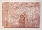 Artist: Forbes, Clem. | Title: Water lilly pond. | Date: 1977 | Technique: monoprint, printed in red ink, from one plate
