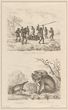 Title: Danse des naturels de l'Australie, Ornithorrynque and Wombat ou desman [Dance of Australian natives, Duck-billed platypus and Wombat or desman] | Date: 1835 | Technique: engraving, printed in black ink, from one steel plate