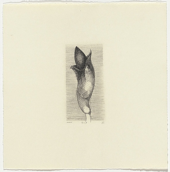 Artist: b'SCHMEISSER, Jorg' | Title: b'1. Engraving' | Date: 1984 | Technique: b'line-engraving, printed in black ink, from one copper plate' | Copyright: b'\xc2\xa9 J\xc3\xb6rg Schmeisser'