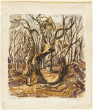 Artist: b'PRESTON, Margaret' | Title: bStephen's Creek, NSW. | Date: 1946 | Technique: b'monotype, printed in colour, from one masonite sheet' | Copyright: b'\xc2\xa9 Margaret Preston. Licensed by VISCOPY, Australia'