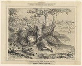 Title: b'Picnicing in New South Wales. Lost and Found' | Date: October 1874 | Technique: b'transfer lithograph, printed in colour, from two stones'