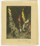 Artist: b'Montgomery, Anne.' | Title: b'(Hollyhocks)' | Date: 1930 | Technique: b'etching, printed in colour with plate-tone, from  plate'