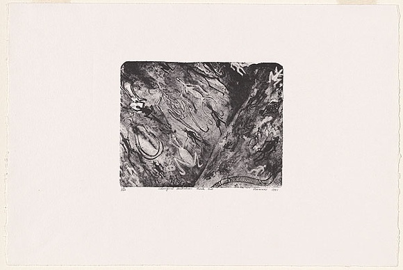 Artist: b'Hayward Pooaraar, Bevan.' | Title: b'Aboriginal Australian Rock Art' | Date: 1991 | Technique: b'lithograph'