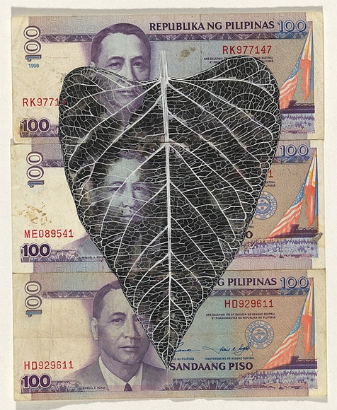 Artist: b'HALL, Fiona' | Title: b'Ipomoea aquatica - Water spinach (The Philippines currency)' | Date: 2000 - 2002 | Technique: b'gouache' | Copyright: b'\xc2\xa9 Fiona Hall'