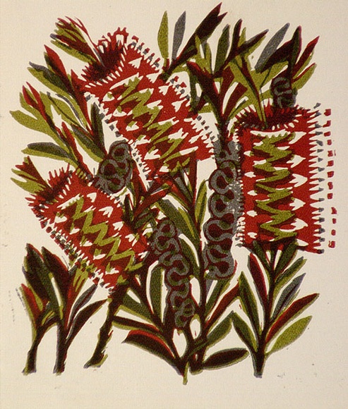 Artist: b'OGILVIE, Helen' | Title: b'Greeting card: Scarlet bottlebrush. (Print designed as christmas card)' | Date: c.1951 | Technique: b'linocut, printed in colour, from multiple blocks'