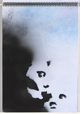 Title: b'Chickenpox' | Date: 2003-2004 | Technique: b'stencil, printed with colour aerosol paint, from multiple stencils'