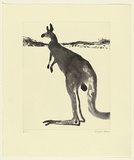 Artist: b'Law, Roger.' | Title: b'(Kangaroo alert)' | Date: 2002 | Technique: b'etching and aquatint, printed in sepia ink, from one plate'