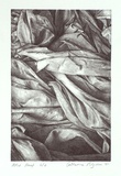 Artist: b'Pilgrim, Catherine.' | Title: b'Fabric #2' | Date: 2001, July | Technique: b'lithograph, printed in black ink, from one plate'