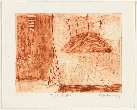 Artist: b'Ramsay, Kylie.' | Title: b'Field study' | Date: April 1998 | Technique: b'collograph, printed in orange ink, from one plate'