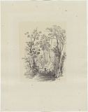 Artist: b'Martens, Conrad.' | Title: b'Illawarra landscape.' | Date: 1851 | Technique: b'lithograph, printed in colour, from multiple stones'