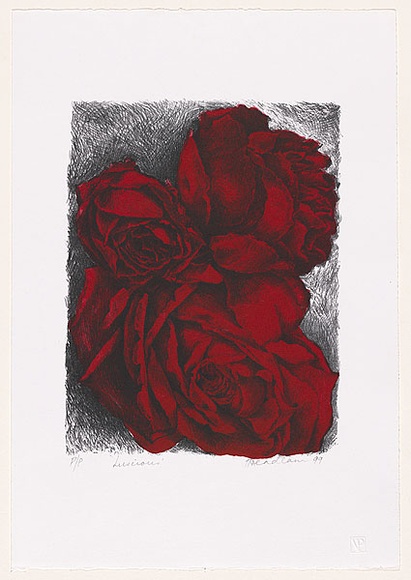 Artist: b'Headlam, Kristin.' | Title: b'Luscious' | Date: 1999 | Technique: b'lithograph, printed in colour ink, from two stones'