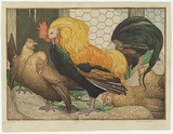Artist: WALLER, M. Napier | Title: Bantams. | Date: c.1932 | Technique: linocut, printed in colour, from multiple blocks
