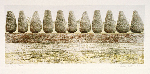 Artist: b'Geier, Helen.' | Title: b'Yew trees' | Date: 1973 | Technique: b'photo-lithograph, printed in colour, from multiple plates'