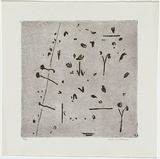 Artist: b'WILLIAMS, Fred' | Title: b'Hillside number 2.' | Date: 1965-66 | Technique: b'etching, flat biting, drypoint and mezzotint rocker, printed in black ink, from one zinc plate' | Copyright: b'\xc2\xa9 Fred Williams Estate'