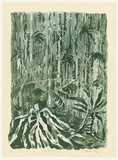 Artist: KING, Grahame | Title: Rainforest III | Date: 1979 | Technique: lithograph, printed in colour, from four stones [or plates]