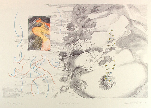 Artist: b'Wolseley, John.' | Title: b'North of Andado' | Date: 1992 - 1993 | Technique: b'lithograph, printed in colour, from three stones' | Copyright: b'\xc2\xa9 John Wolseley. Licensed by VISCOPY, Australia'