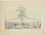 Title: b'Branding calves' | Date: c.1853 | Technique: b'lithograph, printed in black ink, from one stone'