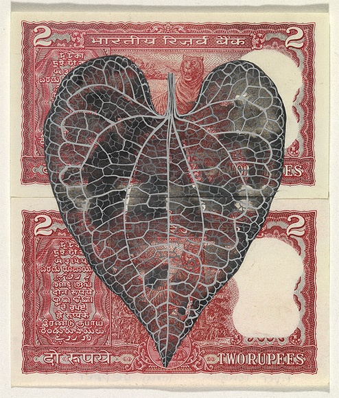 Artist: b'HALL, Fiona' | Title: b'Piper longum - Long pepper (Indian currency)' | Date: 2000 - 2002 | Technique: b'gouache' | Copyright: b'\xc2\xa9 Fiona Hall'