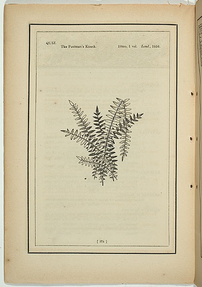 Title: b'not titled [pteris falcata].' | Date: 1861 | Technique: b'woodengraving, printed in black ink, from one block'