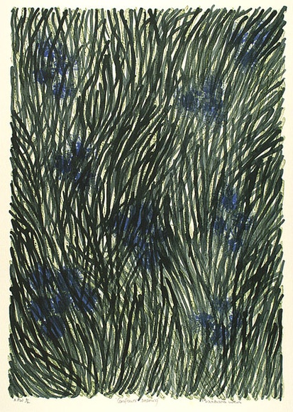 Artist: b'Weir, Barbara.' | Title: b'Cornflower dreaming' | Date: 2002, April | Technique: b'lithograph, printed in colour, from three stones'