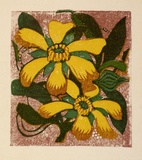 Artist: OGILVIE, Helen | Title: Greeting card: Coastal Banksia | Date: c.1950 | Technique: linocut, printed in colour, from multiple blocks