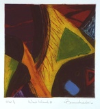 Artist: b'Brunnschweiler, Ulli.' | Title: b'New Island III' | Date: 2000, May | Technique: b'etching, printed in colour, from multiple plates'