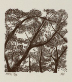 Artist: b'Atkins, Ros.' | Title: b'(IA)' | Date: 1996, July | Technique: b'wood engraving, printed in black ink, from one block'