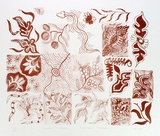 Artist: TAPAYA, Nyuwara | Title: Nyalpi | Date: 1993, May | Technique: lithograph, printed in brown ink, from one stone [or plate]