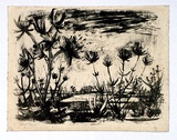 Artist: b'Grieve, Robert.' | Title: b'Swamp landscape' | Date: 1957 | Technique: b'lithograph, printed in black ink, from one stone'