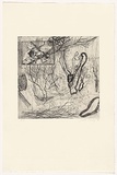 Artist: Irving, Julie. | Title: not titled [insect] | Date: 1996 | Technique: etching, printed in black ink, from one copper plate
