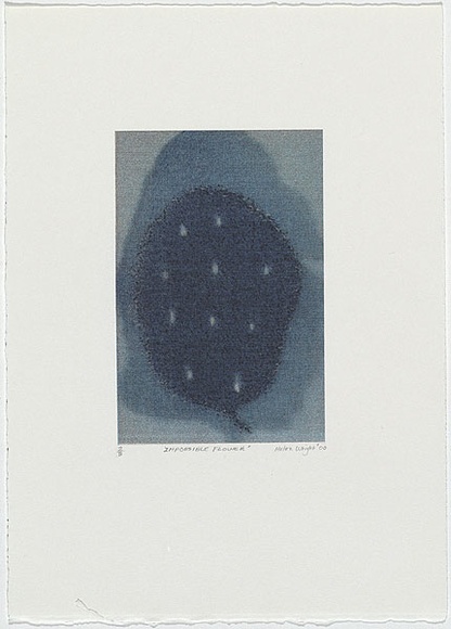 Artist: b'Wright, Helen.' | Title: b'(Hazy blue flower with white specks)' | Date: 2000 | Technique: b'digital print, printed in colour, from digital file'