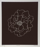 Artist: b'Marshall, John.' | Title: b'Camellia' | Date: 1997 | Technique: b'linocut, printed in black ink, from one block'