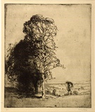 Artist: b'LONG, Sydney' | Title: b'Landscape, Epping Forest' | Date: c.1919 | Technique: b'line-etching, printed in warm black ink with plate-tone, from one copper plate' | Copyright: b'Reproduced with the kind permission of the Ophthalmic Research Institute of Australia'