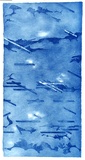 Artist: MILLER, Max | Title: East Kangaloon c | Date: (1978) | Technique: aquatint