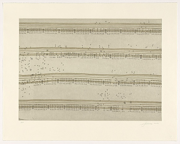 Artist: b'ROSE, Jacqueline' | Title: bJosephine's score | Date: 2002 | Technique: b'etching, printed in black and green ink, from two copper plates'