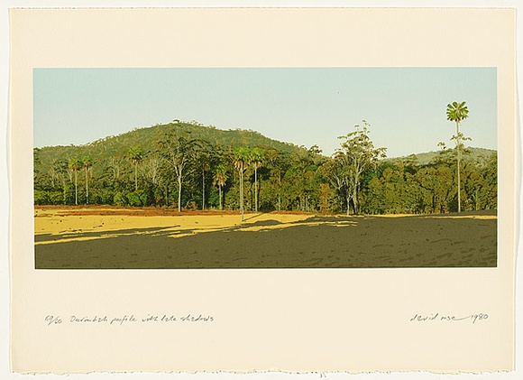 Artist: b'Rose, David.' | Title: b'Ourimbah profile with late shadows' | Date: 1980 | Technique: b'screenprint, printed in colour, from multiple stencils'