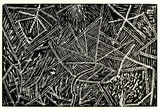 Artist: b'Kngwarreye, Lilly.' | Title: b'not titled [No.55]' | Date: 1990 | Technique: b'woodcut, printed in black ink, from one block'