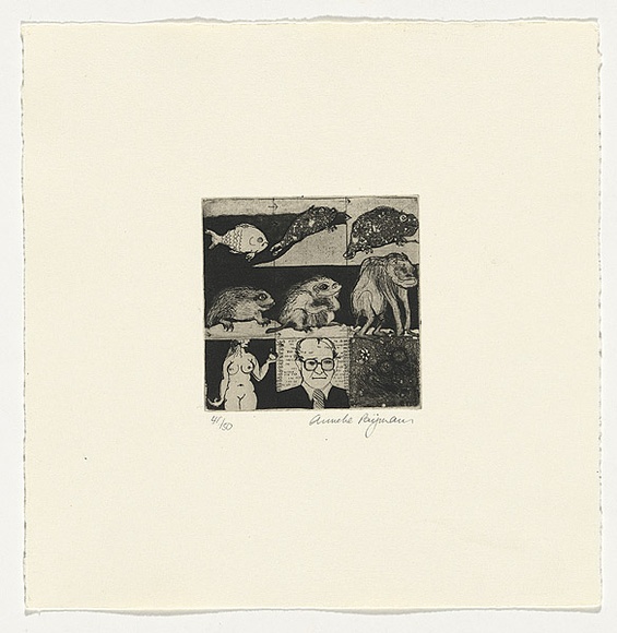 Artist: b'Paijmans, Anneke.' | Title: b'not titled [evolution]' | Date: 1980 | Technique: b'etching and aquatint, printed in black ink with plate-tone, from one plate'