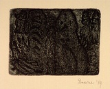 Artist: b'SHEARER, Mitzi' | Title: b'not titled' | Date: 1989 | Technique: b'etching, printed in brown/black ink, from one  plate'