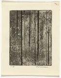 Artist: b'WILLIAMS, Fred' | Title: b'Sherbrooke Forest. Number 5' | Date: 1962 | Technique: b'etching, engraving, drypoint and foul biting, printed in black ink, from one zinc plate' | Copyright: b'\xc2\xa9 Fred Williams Estate'