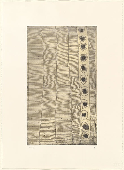 Artist: b'WARLAPINNI, Freda' | Title: b'not titled (geometic composition of lines and dots)' | Date: 1999, May - June | Technique: b'etching, intaglio and relief printed in colour, from one plate' | Copyright: b'\xc2\xa9 Freda Warlapinni, Jilamara Arts and Craft'