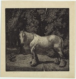 Artist: LINDSAY, Lionel | Title: The white horse | Date: 1923 | Technique: wood-engraving, printed in black ink, from one block | Copyright: Courtesy of the National Library of Australia